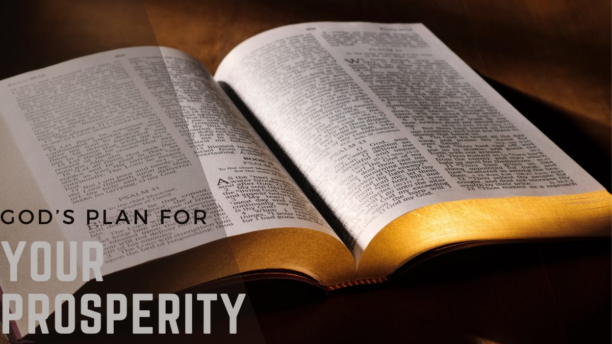 Prosperity: Biblical Wisdom for Financial Freedom